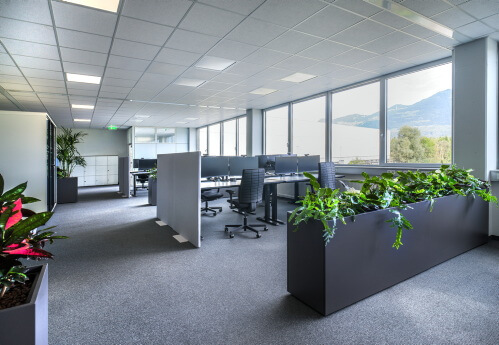 Icon Hali Musterlösung Office